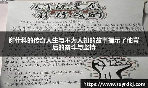 芒果体育官网入口